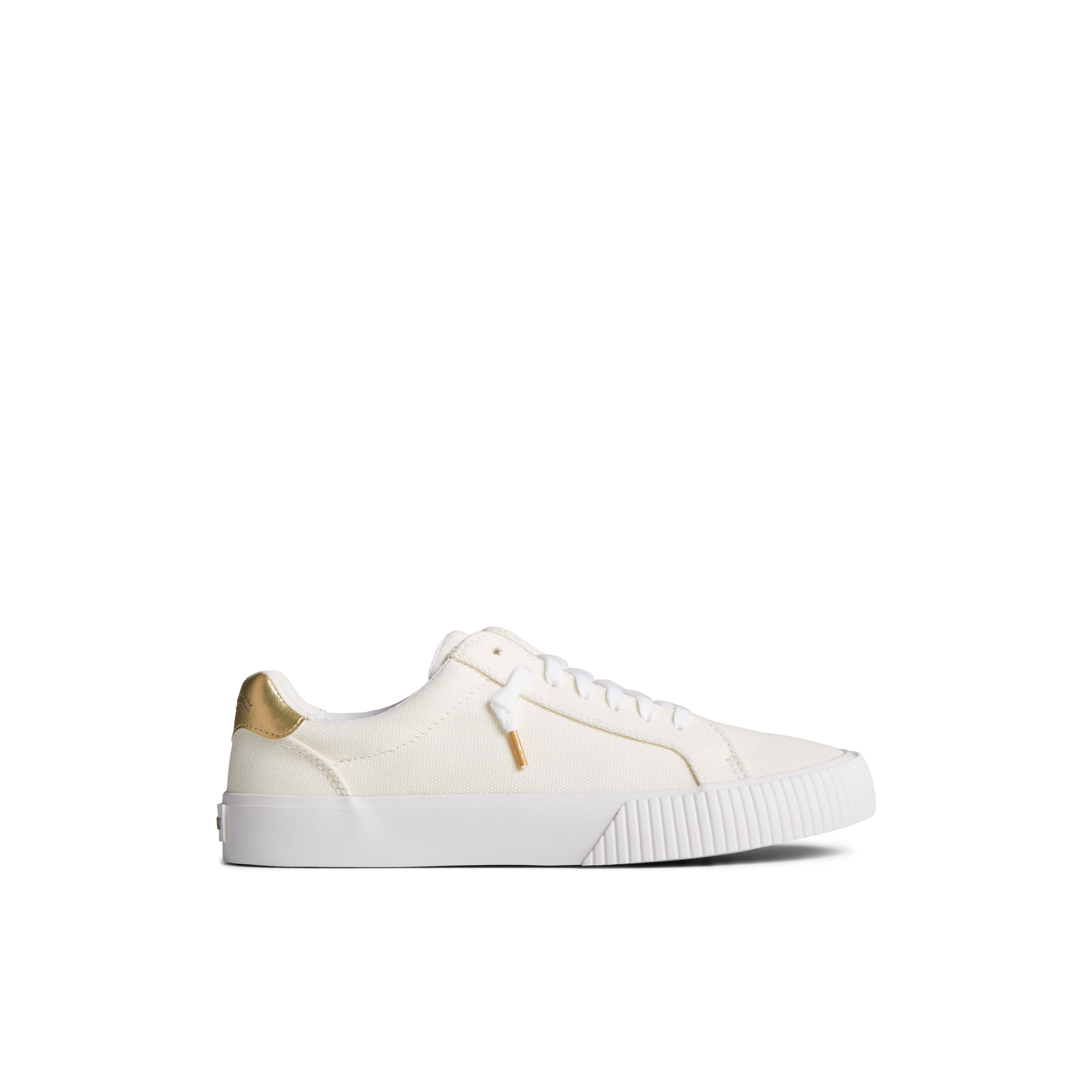 国内初の直営店 bermuda lttm_wm_beige_270-003- トップス